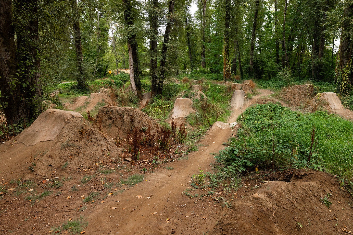 Bike trails in Gladstone